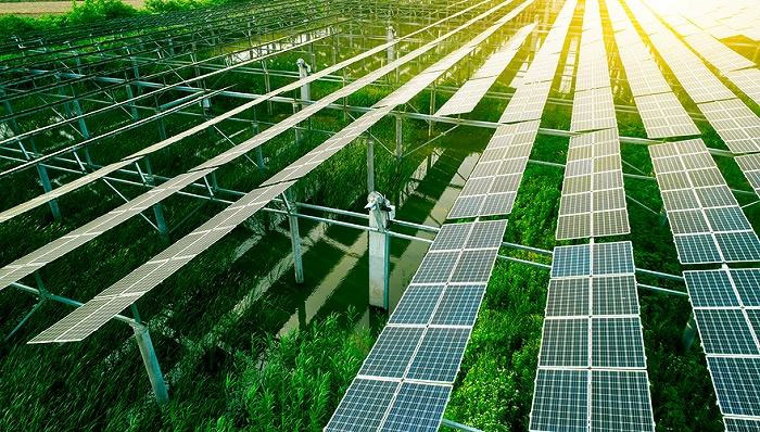 Swiss Solar will build a 1.5 GW photovoltaic module plant in Turkey